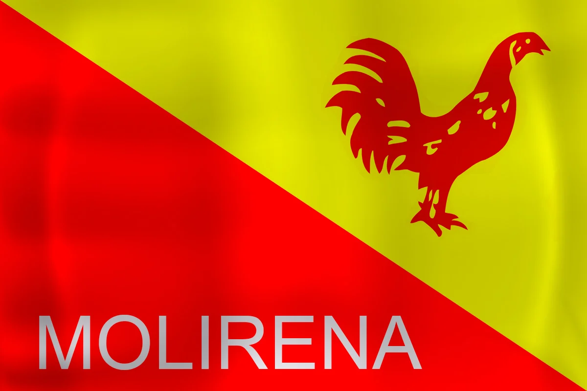 Logo Molirena